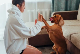 The Ultimate Guide to the Best Dog Breeds for Families (Without the Chaos)