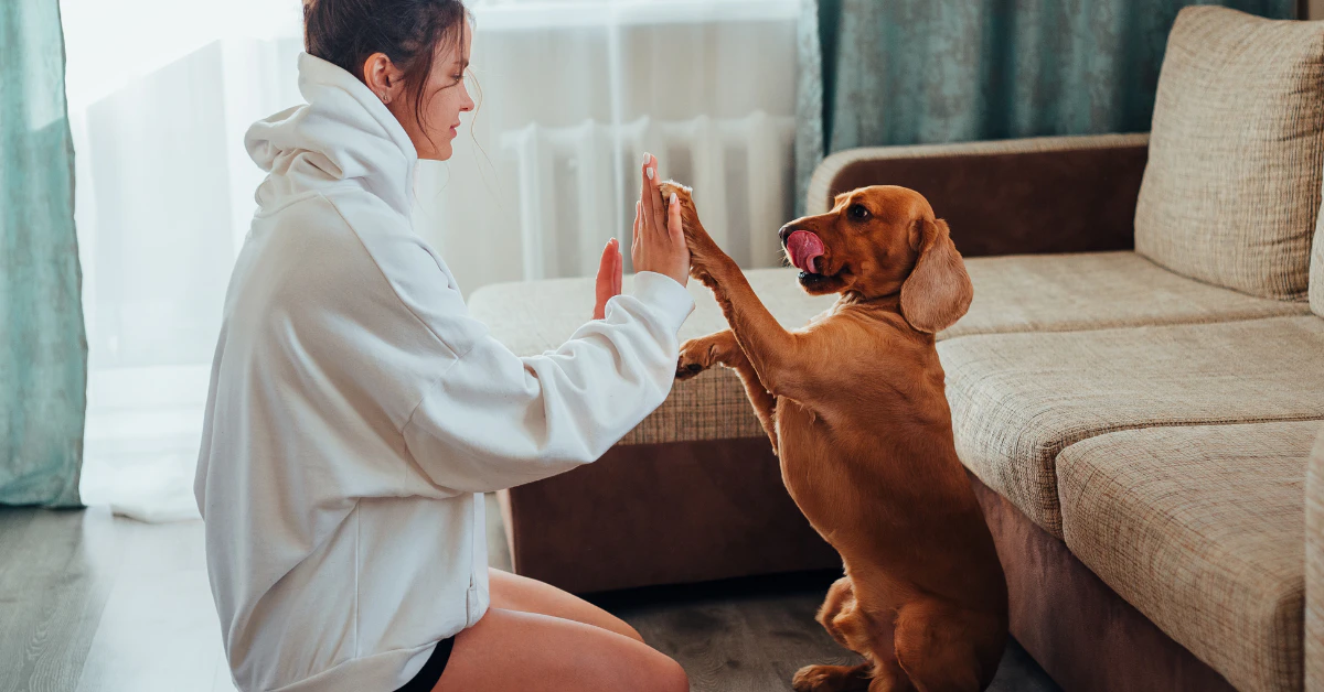 The Ultimate Guide to the Best Dog Breeds for Families (Without the Chaos)