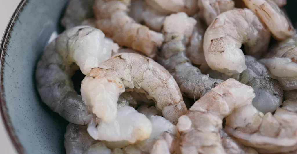 Pile of raw peeled shrimp, which dogs should never eat uncooked