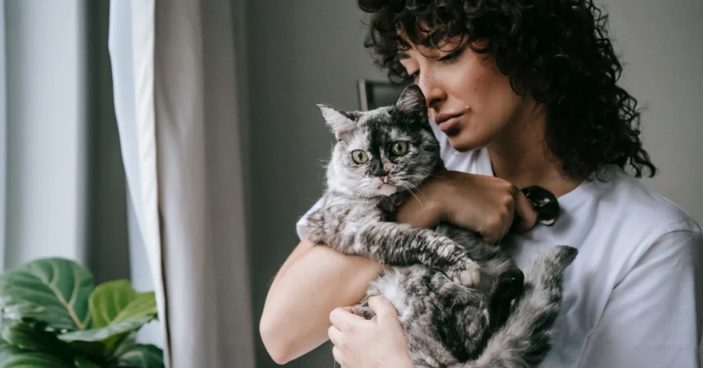 Owner calmly soothing a meowing cat