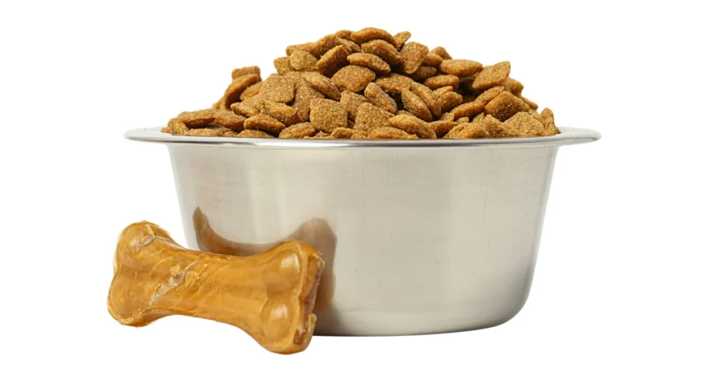 Bowl of dog kibble with a bone-shaped treat beside it