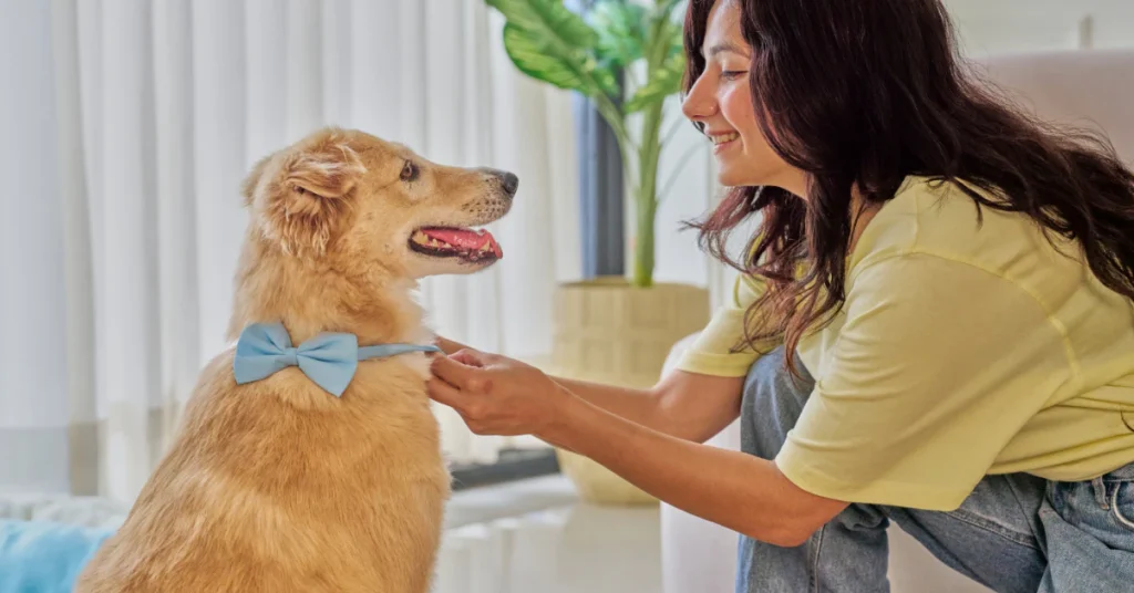 Smiling woman petting a dog at home, a happy pet owner with an easy-care pet