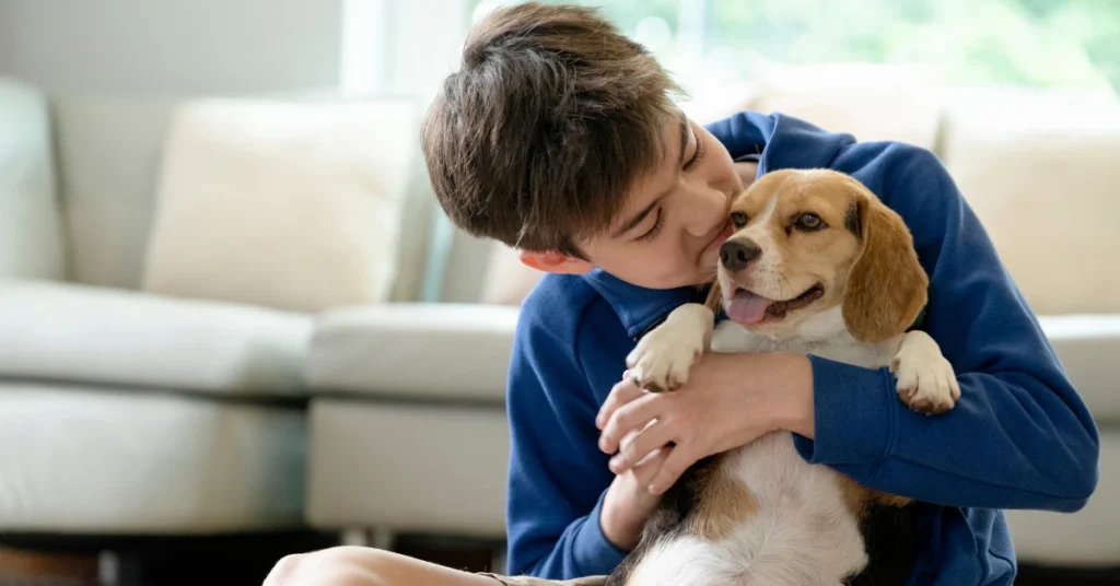Young boy hugging a beagle on a couch, a child with a pet