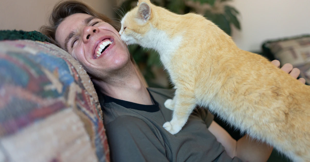 Orange cat licking the face of a laughing man relaxing on a couch